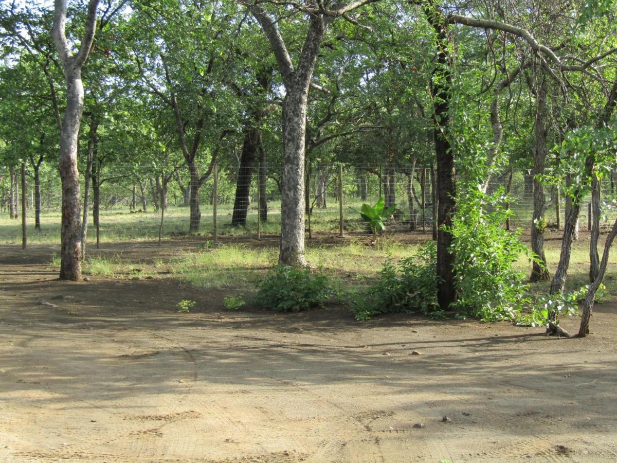 Pafuri Gate Guesthouse Mabalingwe Game Reserve Exterior foto